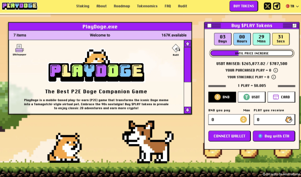 The PlayDoge Game - Why Is It Attracting Investors?