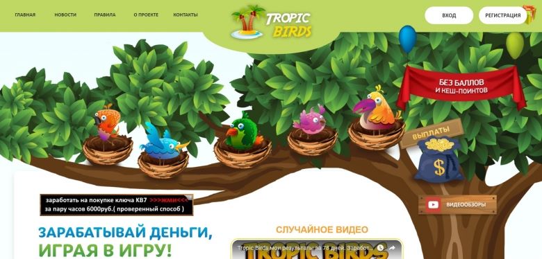 Tropic Birds