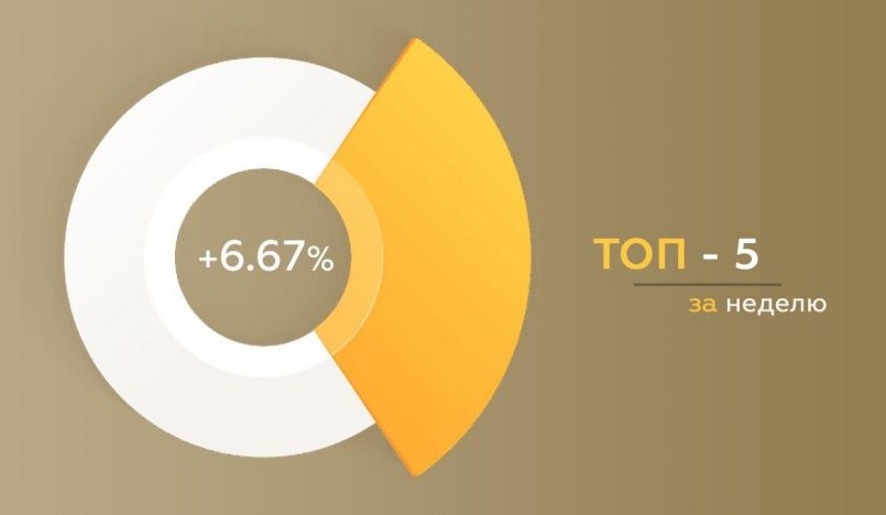 CapEX24.com — Общий результат управления за неделю +6.67%!