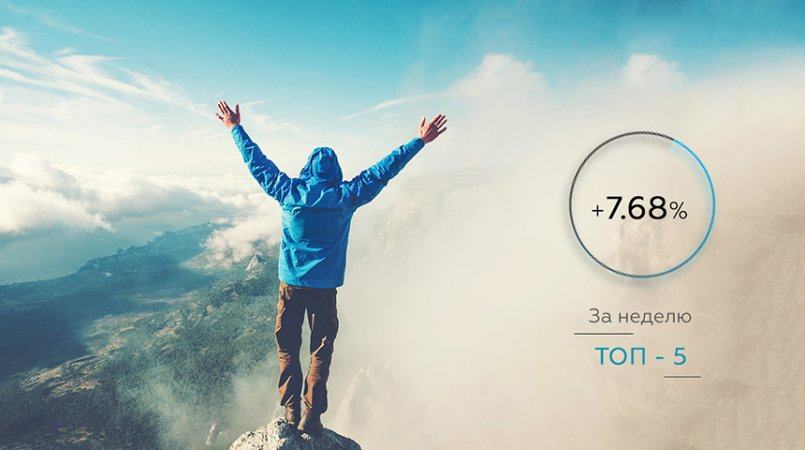 CapEX24.com — Общий результат управления за неделю +7.68%!