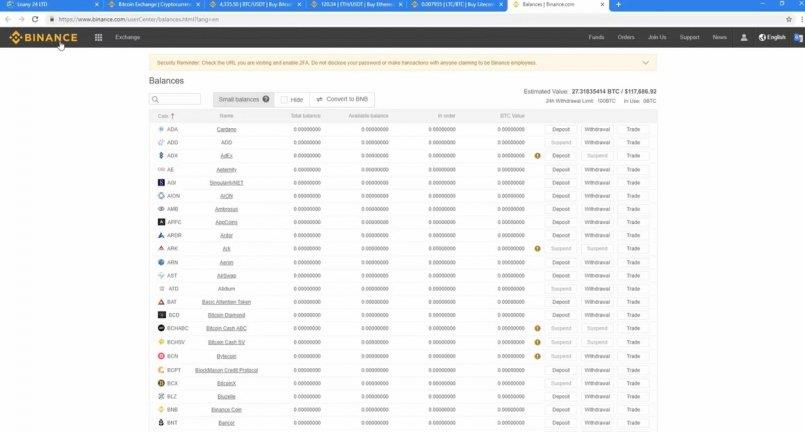 Loany24.com — Видео отчет торговли Binance.