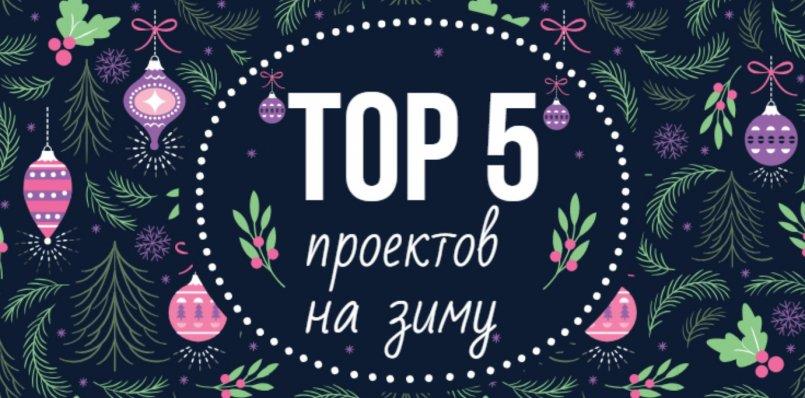 Видео обзор ТОП 5 проектов на зиму!