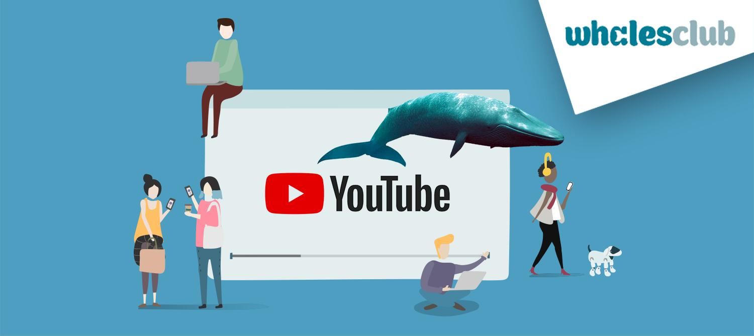 Whalesclub.io — Добавление Bounty программы