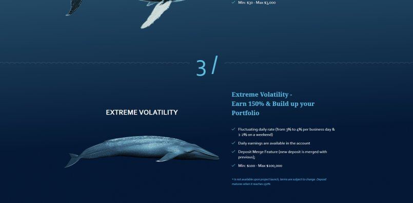 Whalesclub.io — Вложение в себя - лучшая инвестиция. Заработай 150%.