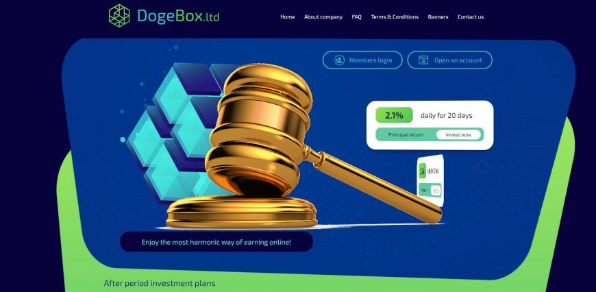 Dogebox.ltd — SCAM! Компенсации выплачены.