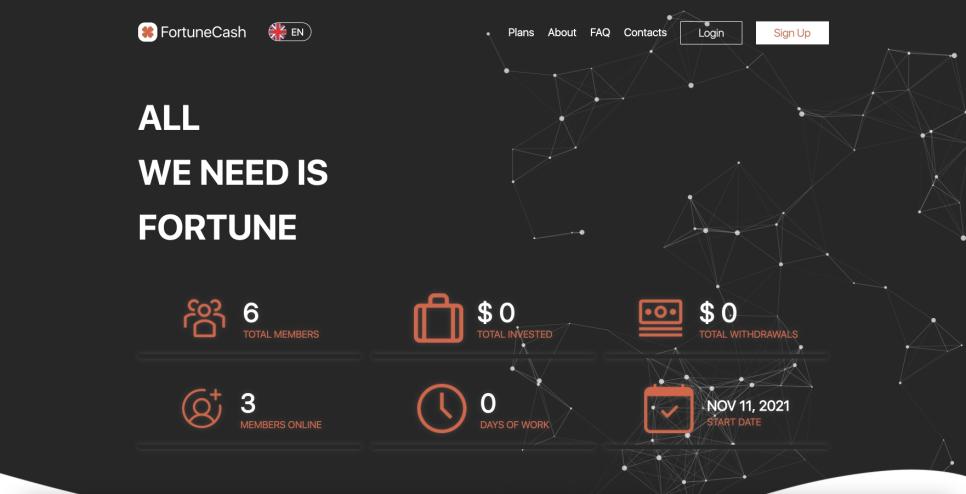Fortune Cash